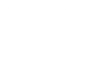 BHMET_WhiteLogo